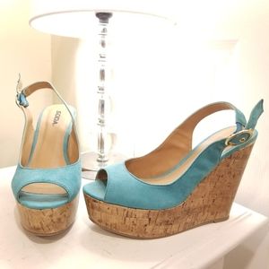 Blue Wedges
